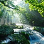 道志村で整える、週末ひとり旅