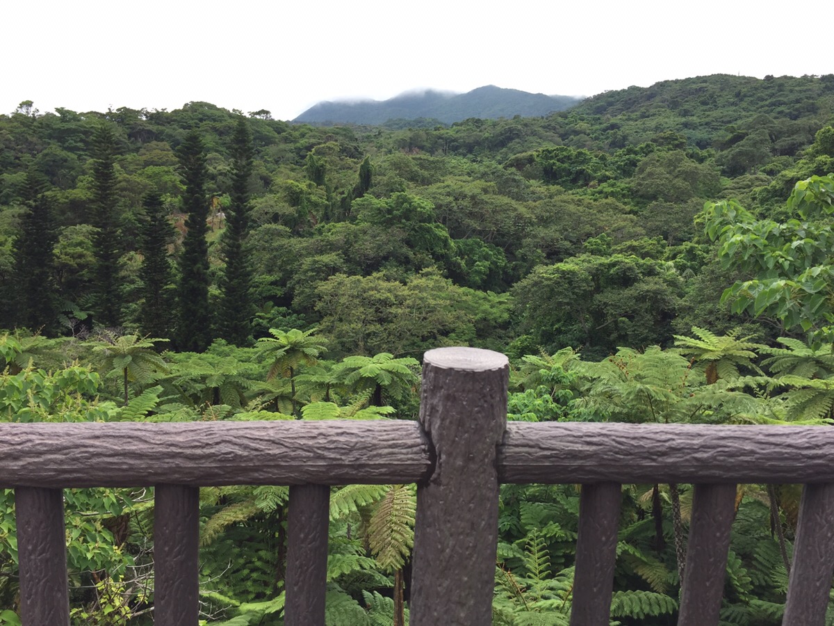 山に抱かれて、呼吸がほどける ― 谷川岳で過ごす静かな週末
